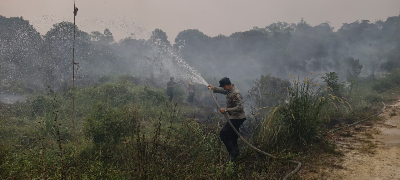 Tim Gabungan Padamkan Karhutla di Lahan Nanas Sungai Ukoi