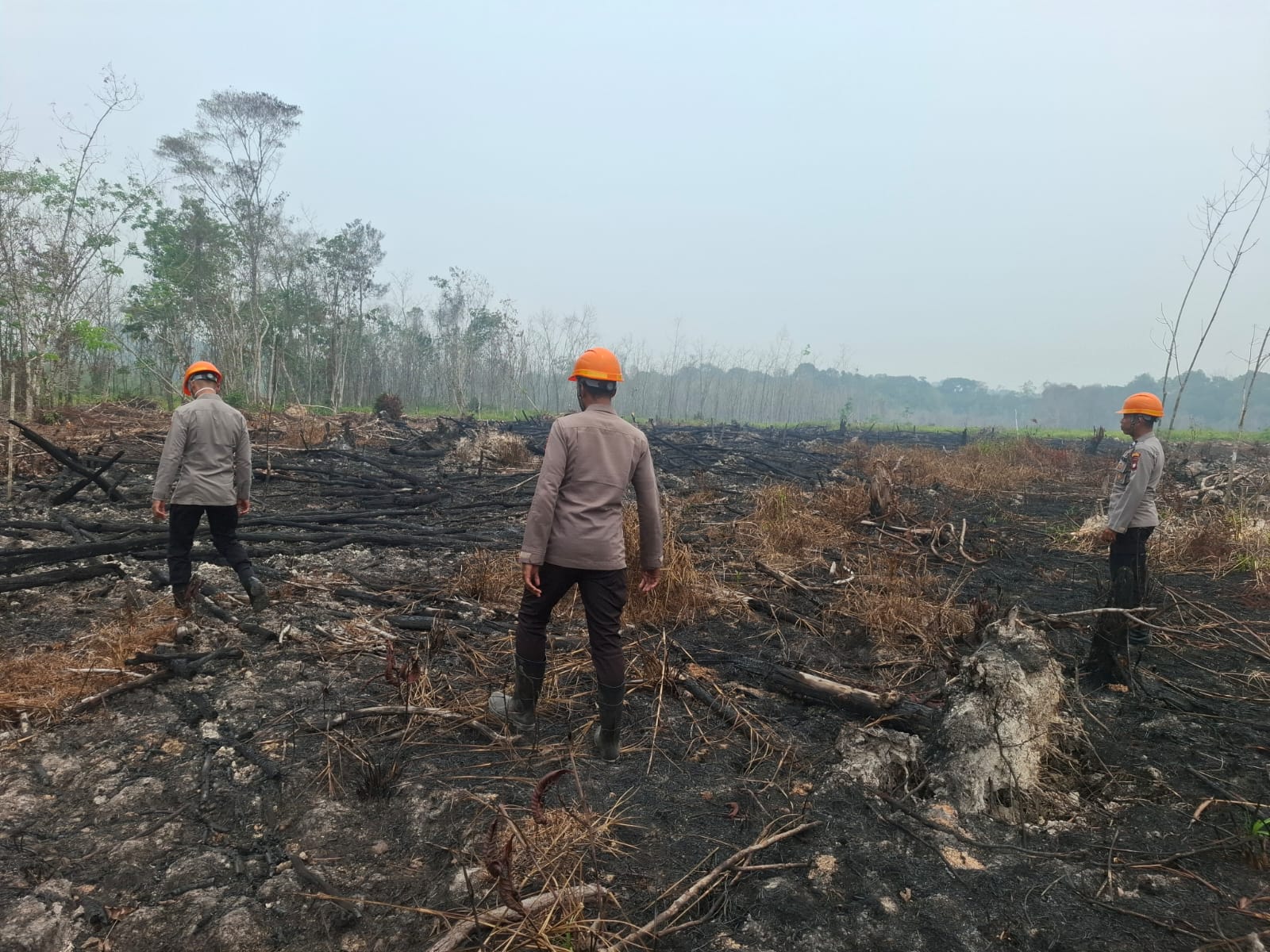 Polsek Sepauk Verifikasi Tiga Hotspot, Api di Tiga Lokasi Telah Padam