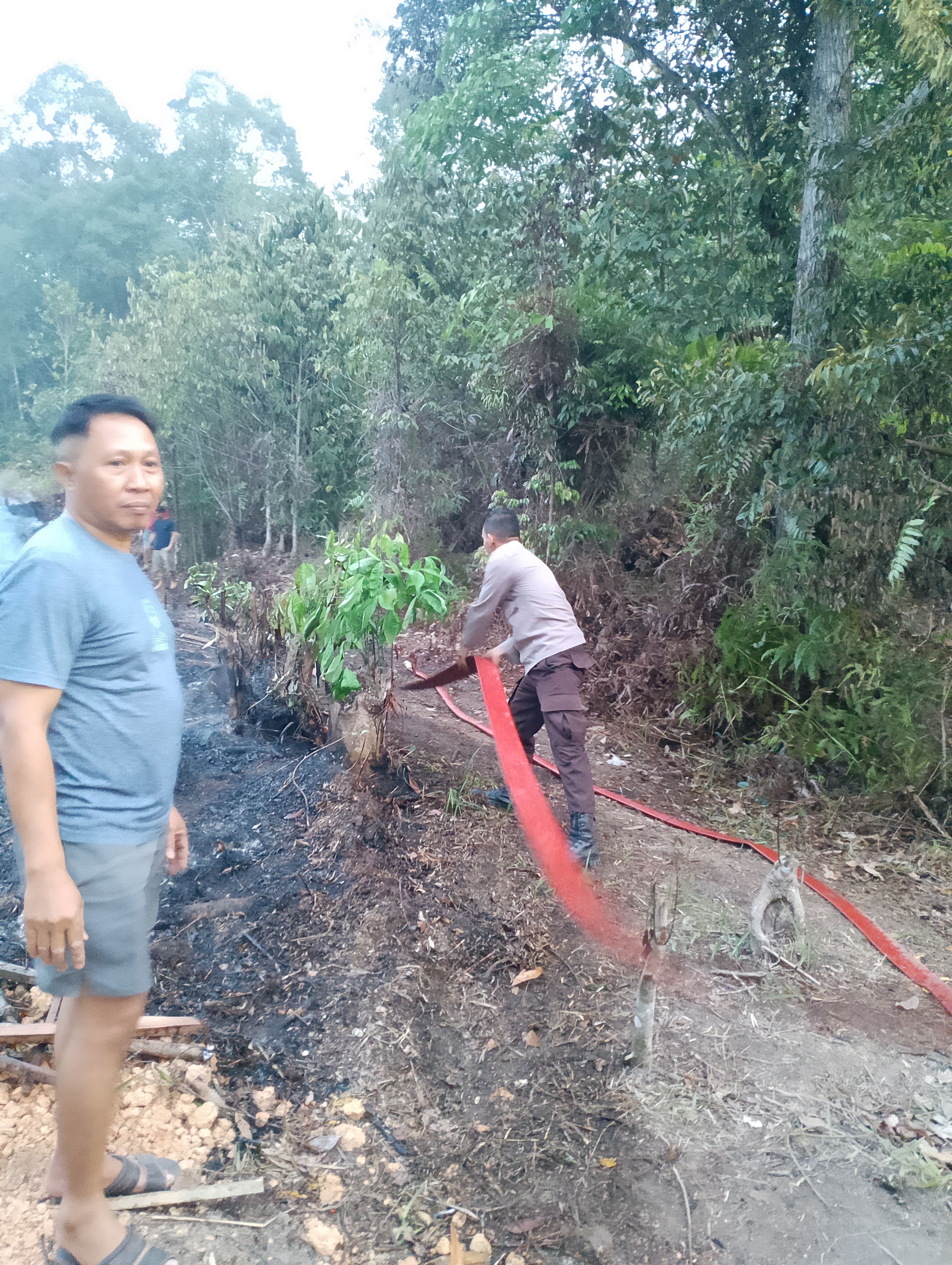 Polsek Sepauk Bersama Damkar Padamkan Karhutla Seluas 0,5 Hektare di Tanjung Ria